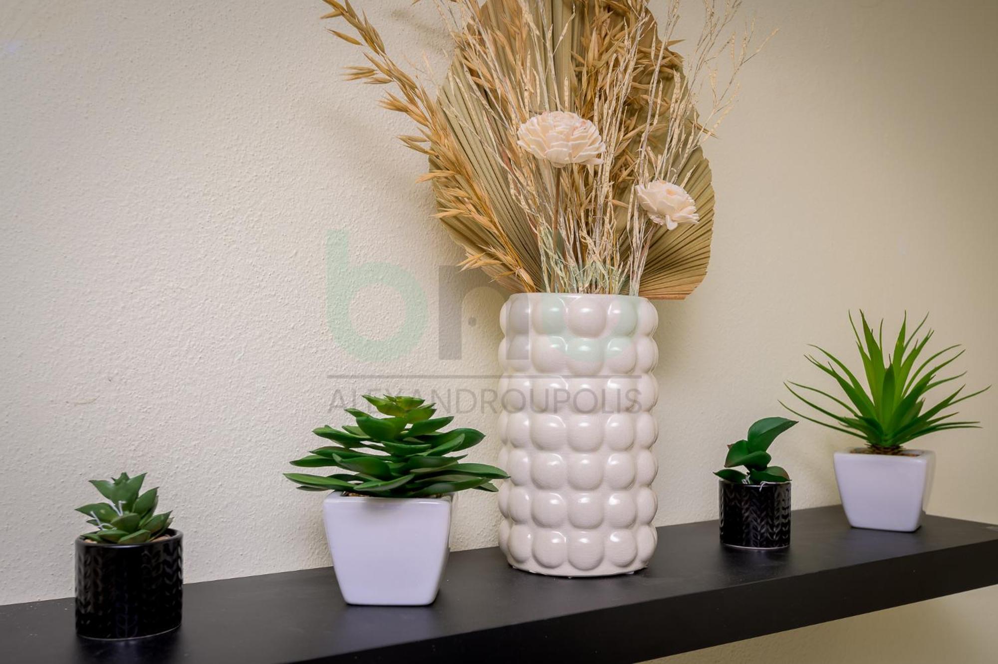 Dikella Beach 3 Bdr Summer House Mesimvria  エクステリア 写真